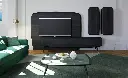 TV UNIT BUG