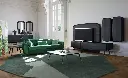TV UNIT BUG