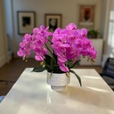 FLEUR ECLAT ORCHIDEE