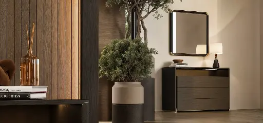 Commode Veluxe