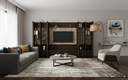 TV UNIT DOMO