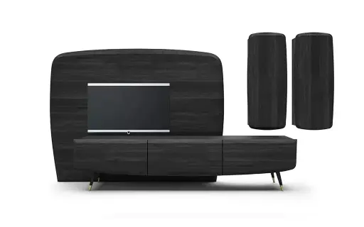 TV UNIT BUG