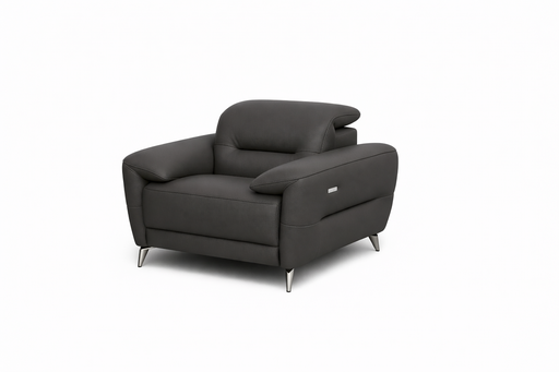 Fauteuil Pegaso